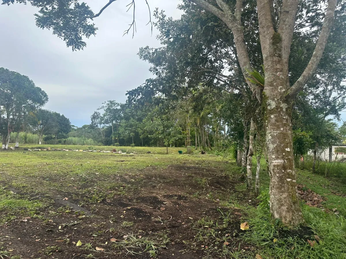 LAND FOR SALE IN POTRERILLOS, CHIRIQUI