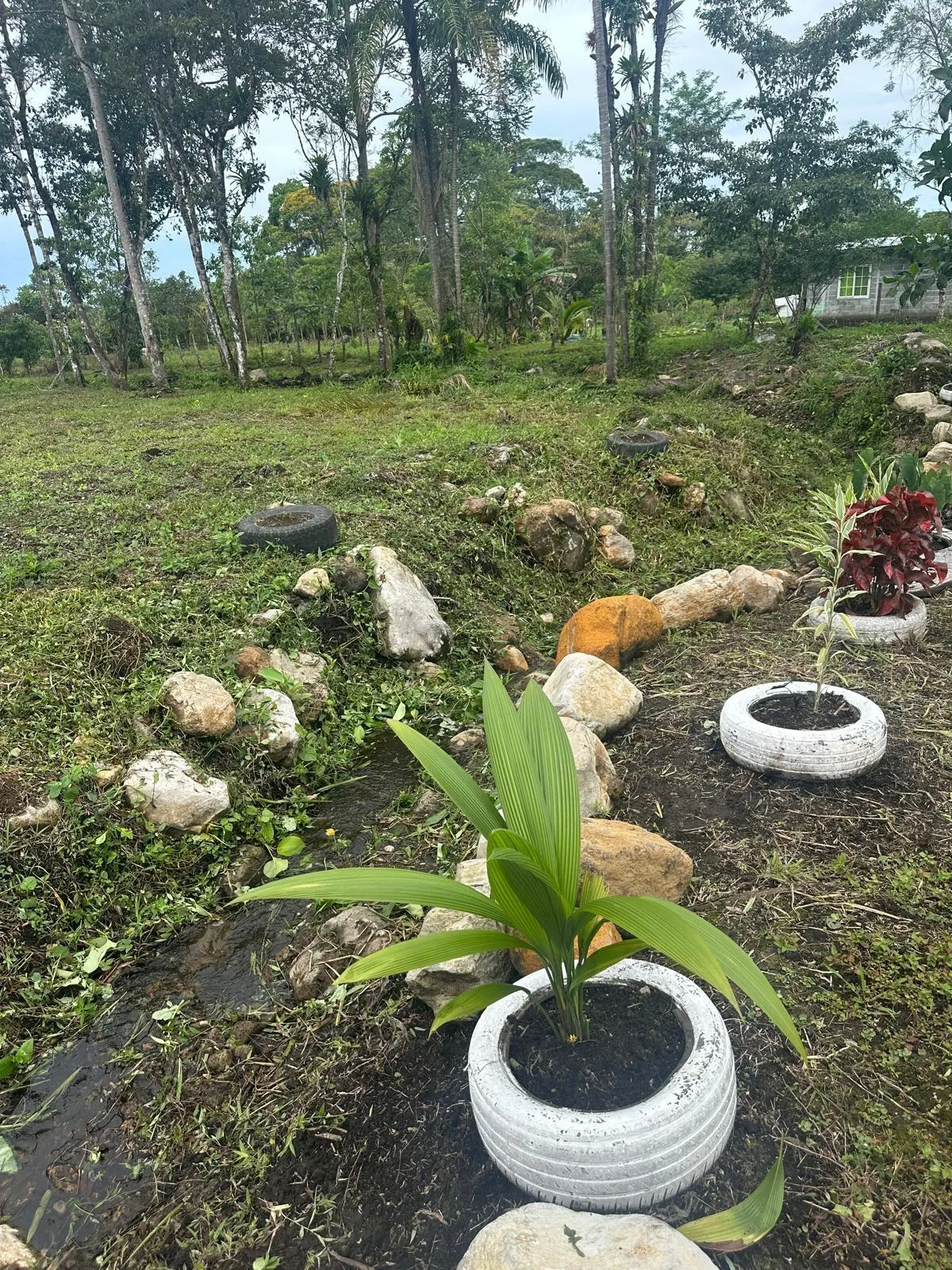 LAND FOR SALE IN POTRERILLOS, CHIRIQUI