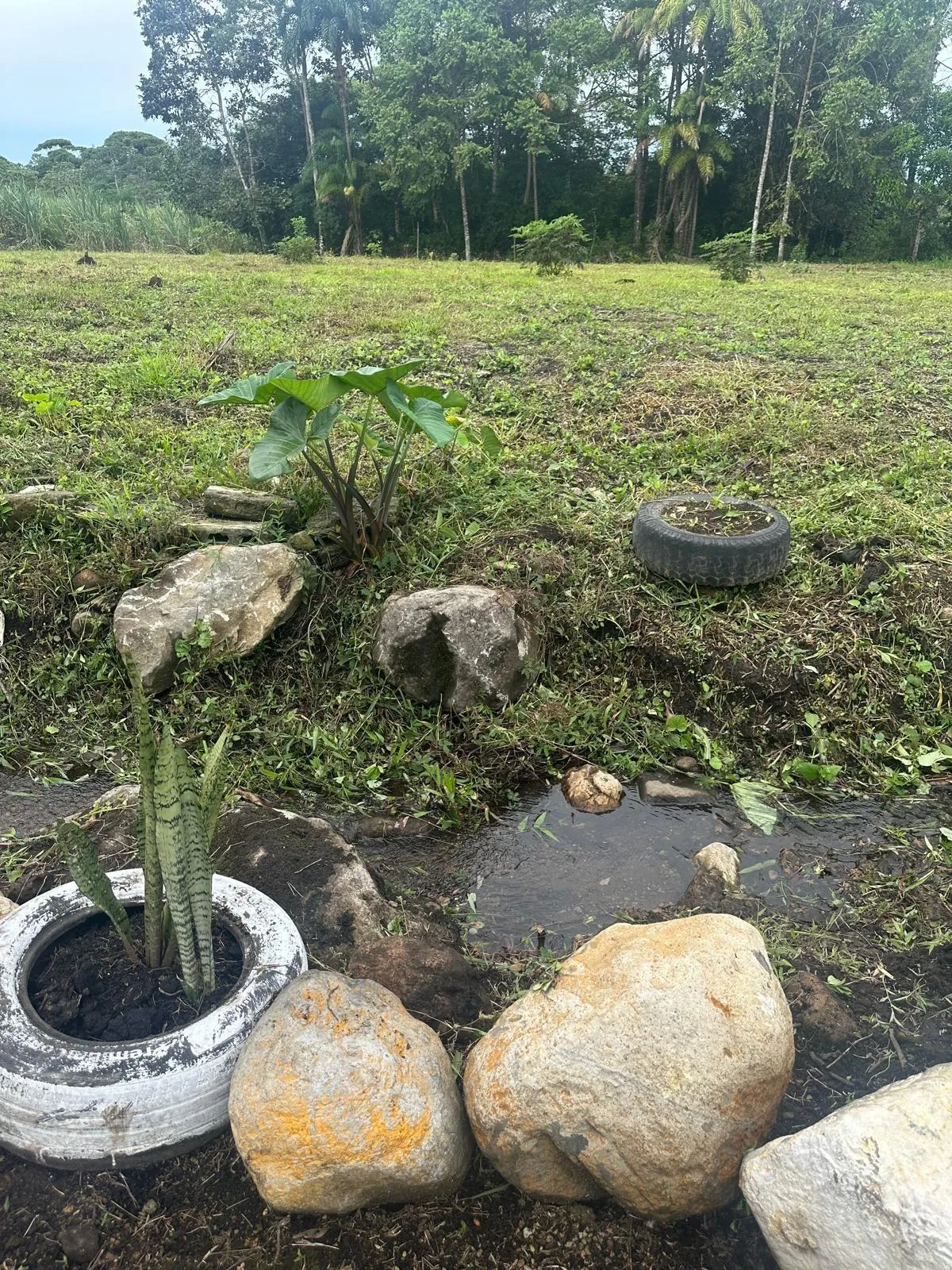 LAND FOR SALE IN POTRERILLOS, CHIRIQUI