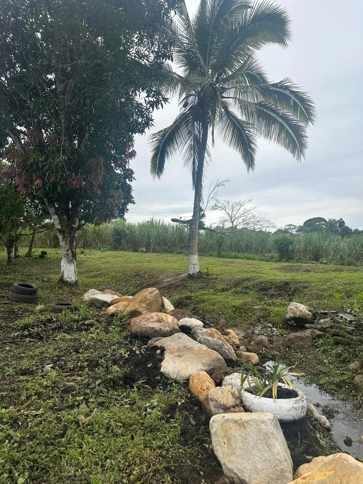 LAND FOR SALE IN POTRERILLOS, CHIRIQUI