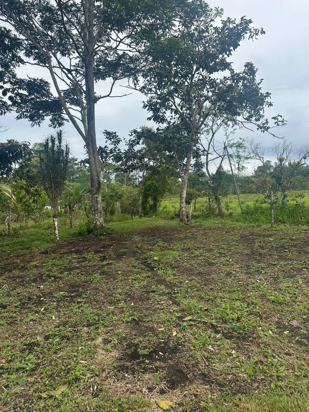 LAND FOR SALE IN POTRERILLOS, CHIRIQUI