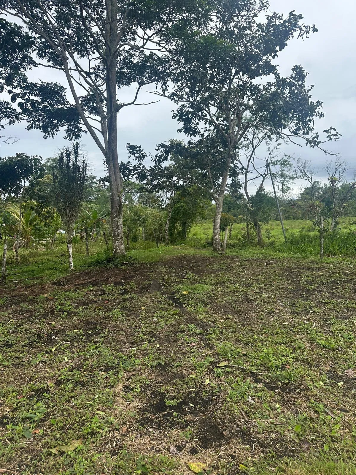 LAND FOR SALE IN POTRERILLOS, CHIRIQUI