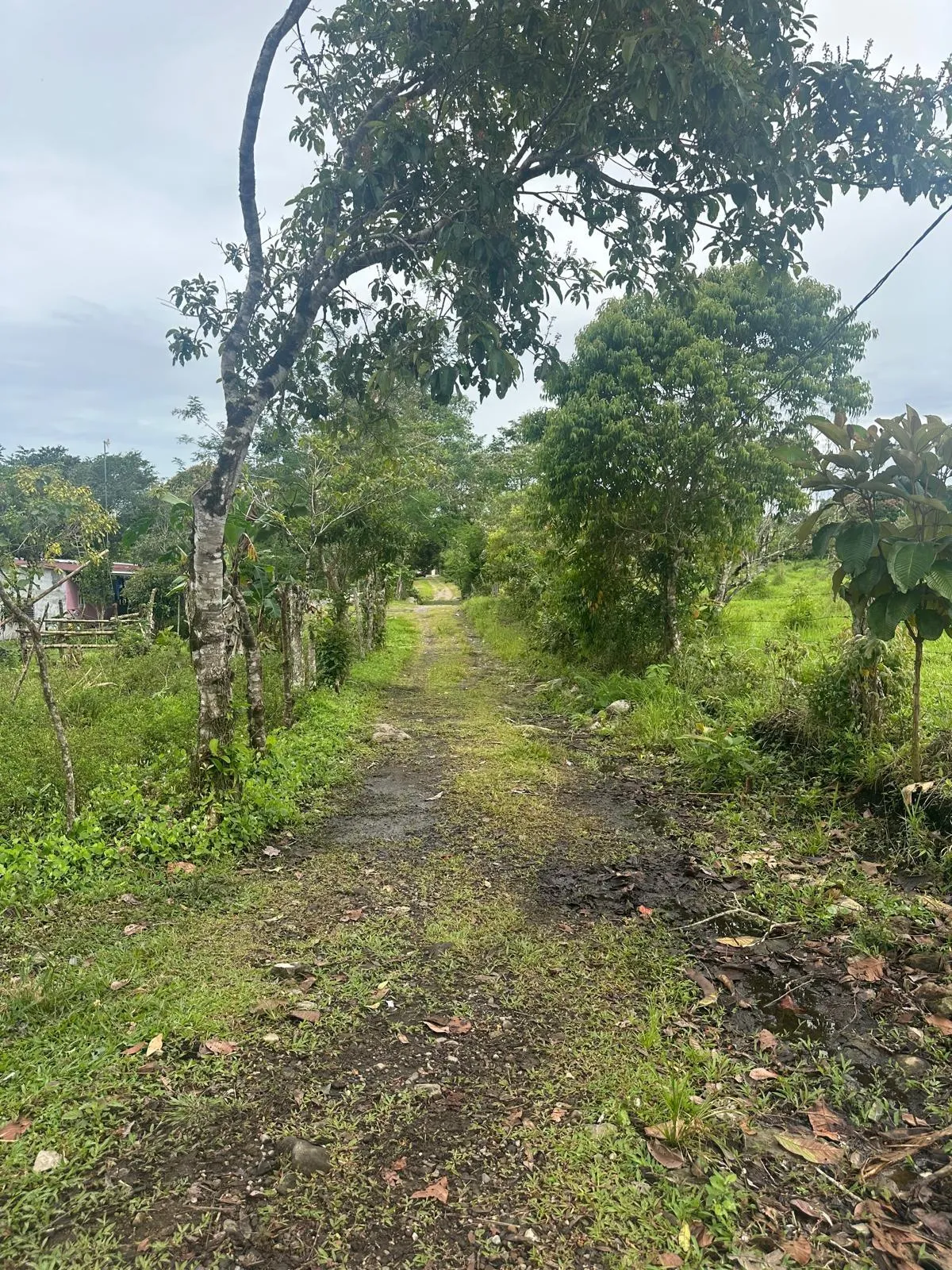 LAND FOR SALE IN POTRERILLOS, CHIRIQUI