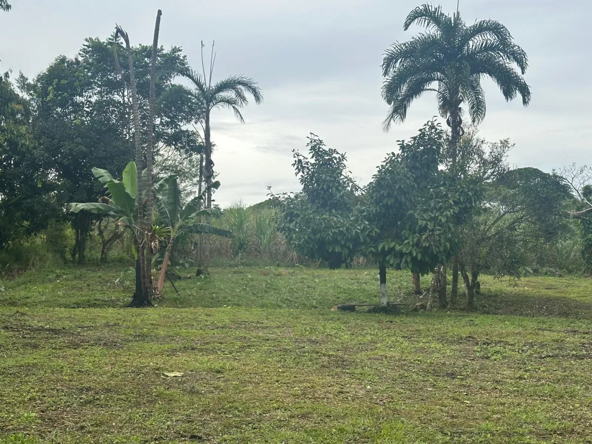 LAND FOR SALE IN POTRERILLOS, CHIRIQUI