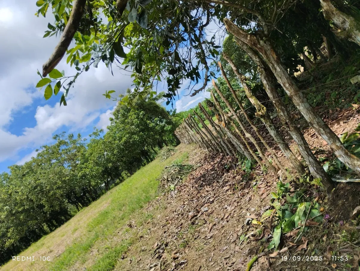 LAND FOR SALE IN BUGABA CHIRIQUI
