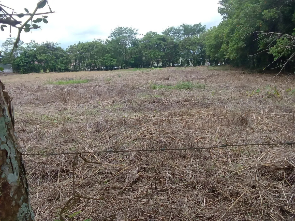 LAND FOR SALE IN BUGABA CHIRIQUI