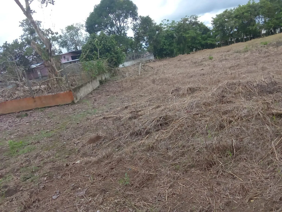 LAND FOR SALE IN BUGABA CHIRIQUI