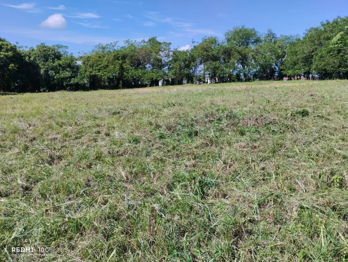 LAND FOR SALE IN BUGABA CHIRIQUI