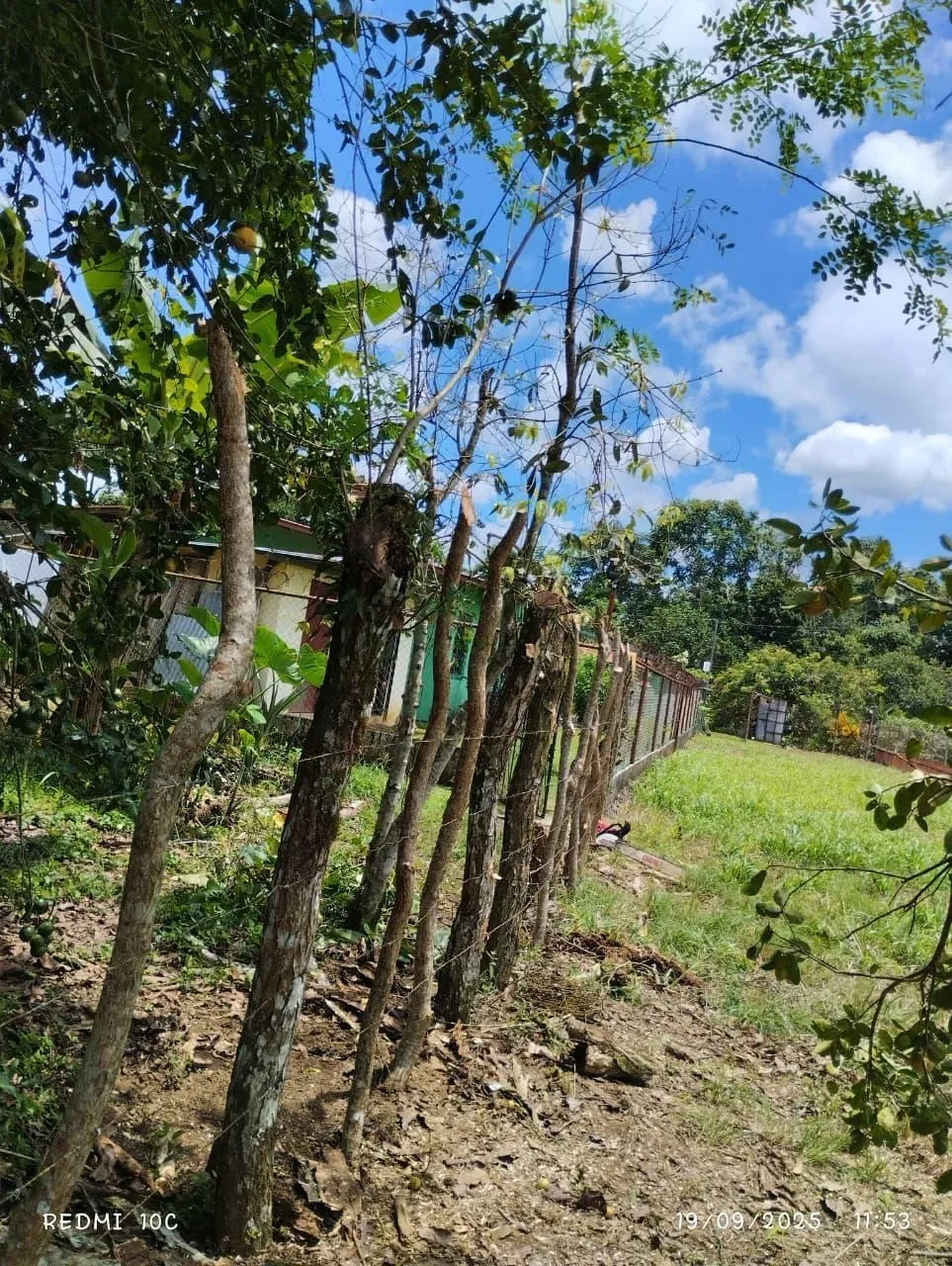 LAND FOR SALE IN BUGABA CHIRIQUI