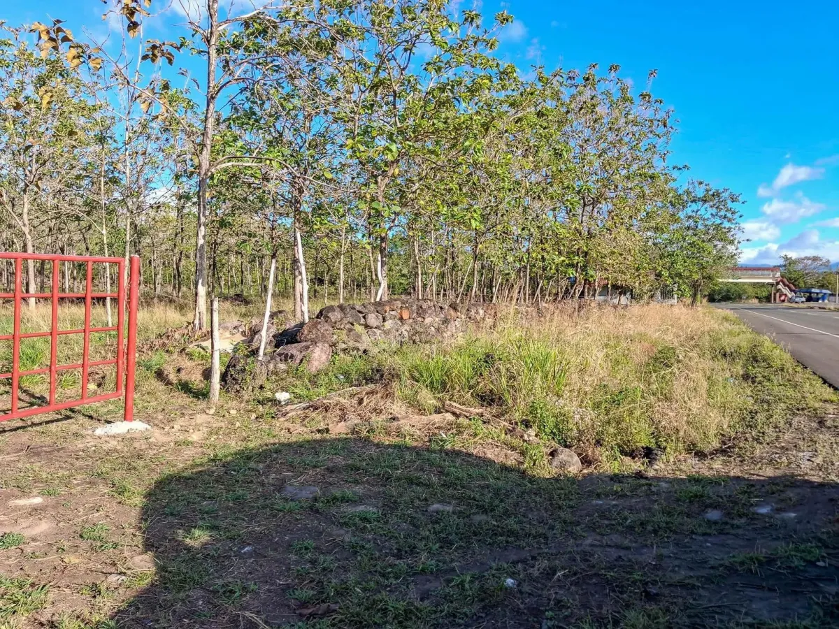 22,2 Hectáreas en Venta en El Francés