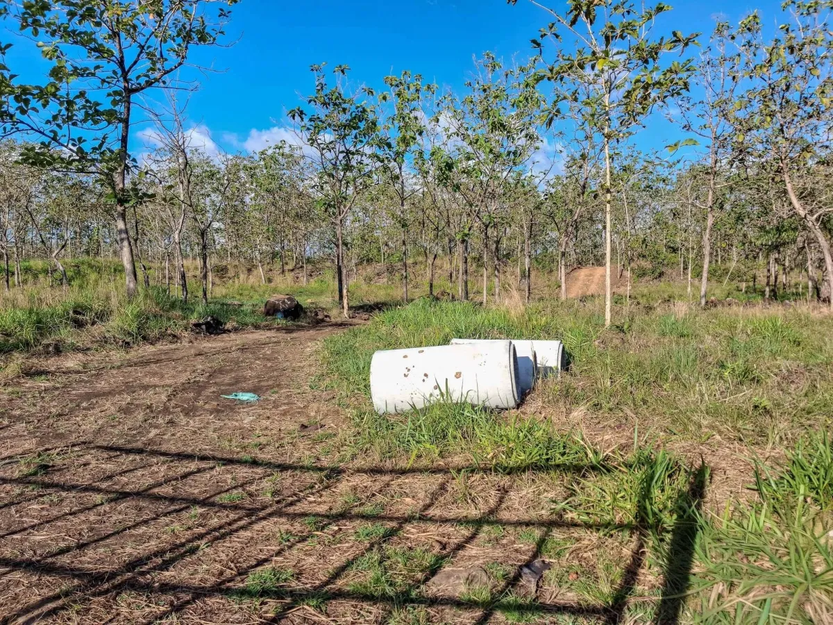 22,2 Hectáreas en Venta en El Francés