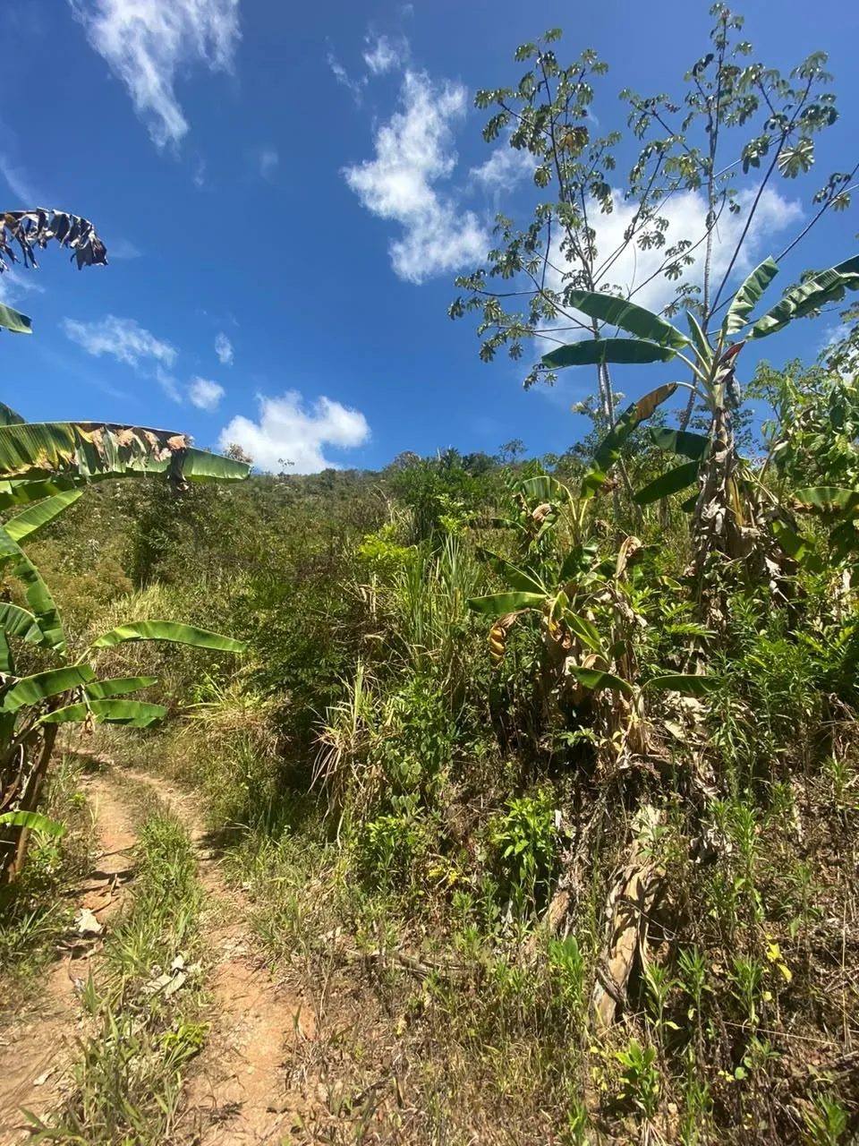 SE VENDE TERRENO EN SORÁ