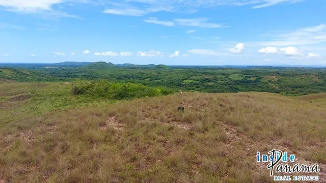 Land for Sale in Nata Cocle Panama