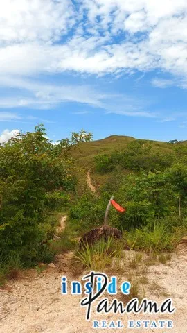 Land for Sale in Nata Cocle Panama