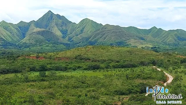 Land for Sale in Nata Cocle Panama
