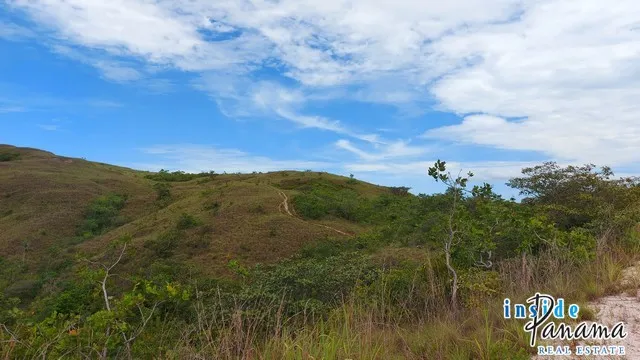 Land for Sale in Nata Cocle Panama