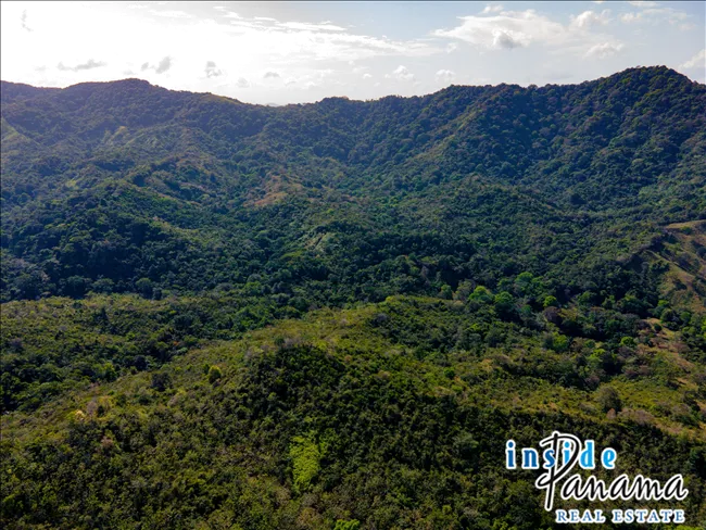 51 Hectare Farm in Quebrada Bonita Colon