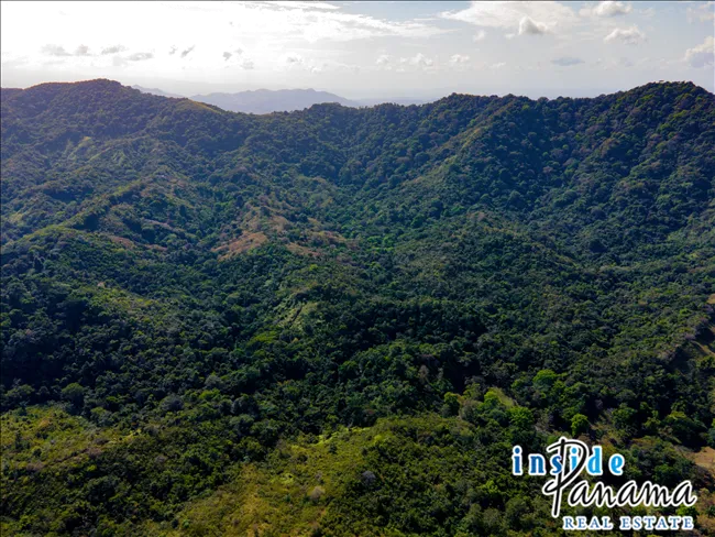 51 Hectare Farm in Quebrada Bonita Colon