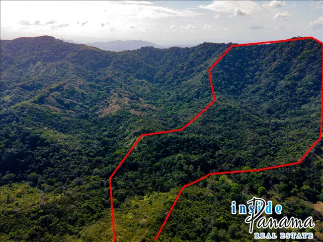 51 Hectare Farm in Quebrada Bonita Colon