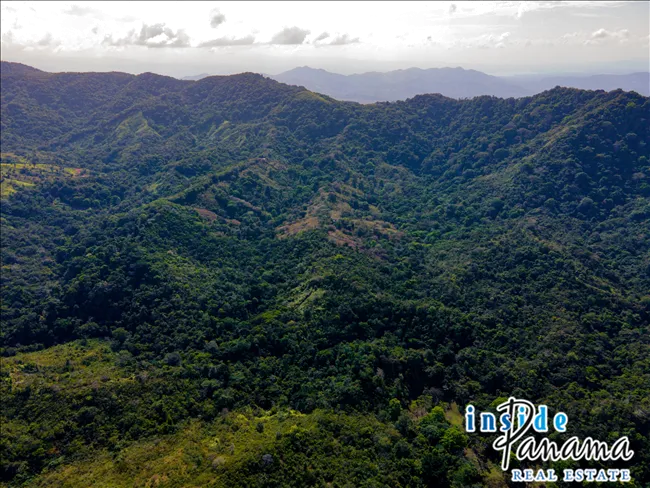 51 Hectare Farm in Quebrada Bonita Colon