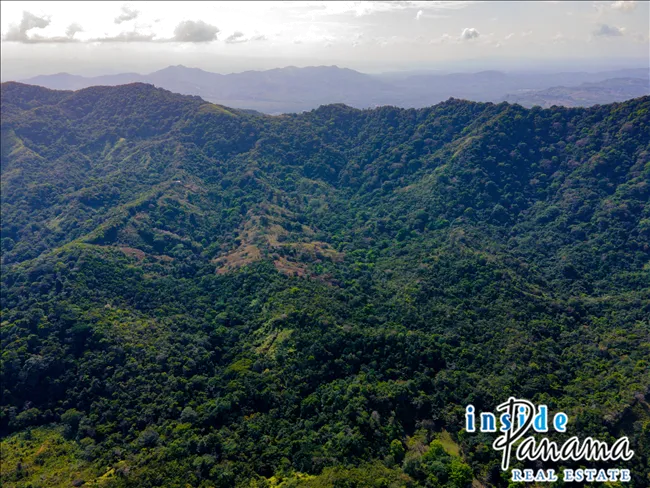 51 Hectare Farm in Quebrada Bonita Colon