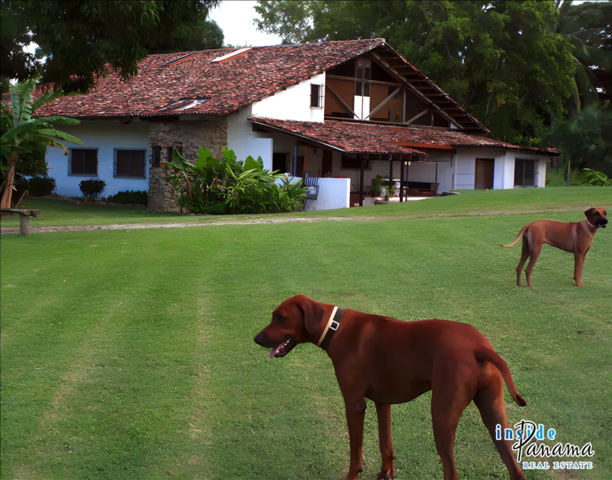 Hacienda Estate for Sale in San Carlos Panama