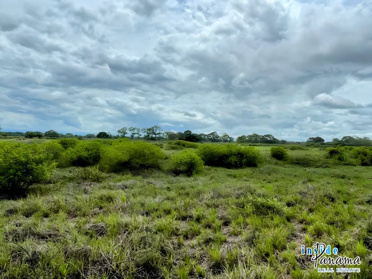 Beautiful Land in Gated Community Las Olas La Barqueta