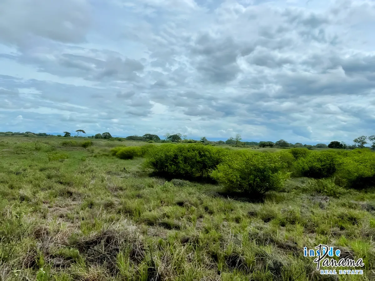 Beautiful Land in Gated Community Las Olas La Barqueta