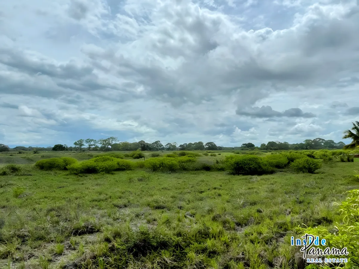 Beautiful Land in Gated Community Las Olas La Barqueta
