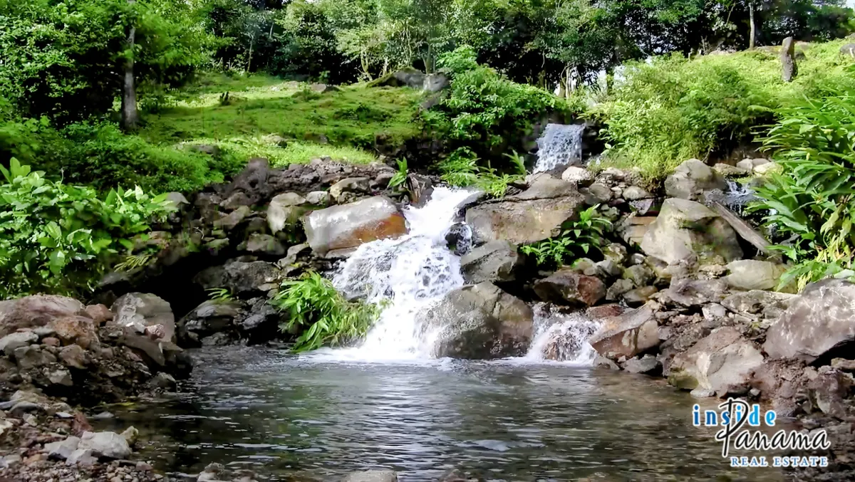54 Ha Development Land For Sale in Volcan Panama
