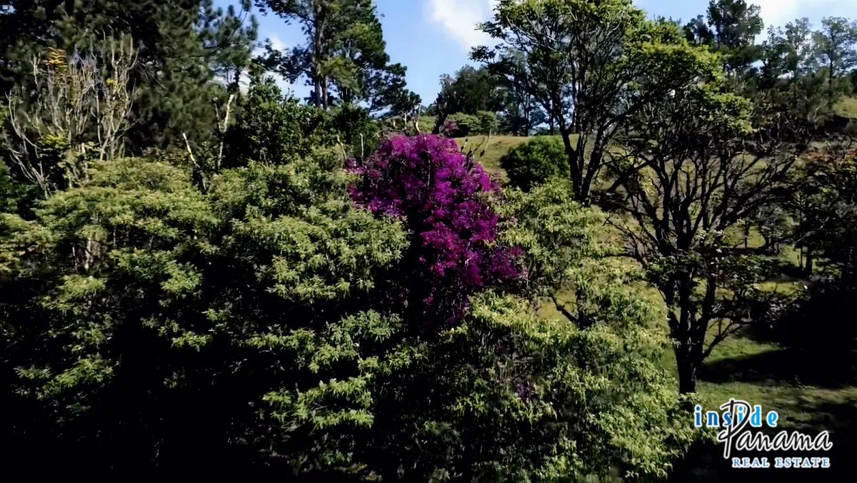 54 Ha Development Land For Sale in Volcan Panama
