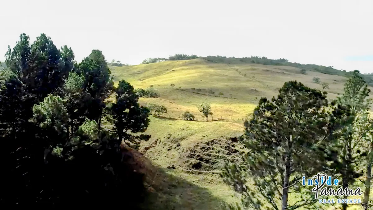 54 Ha Development Land For Sale in Volcan Panama