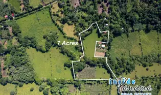 Prime 7 Acre Flat Land For Sale El Higo Dolega Chiriqui Panama