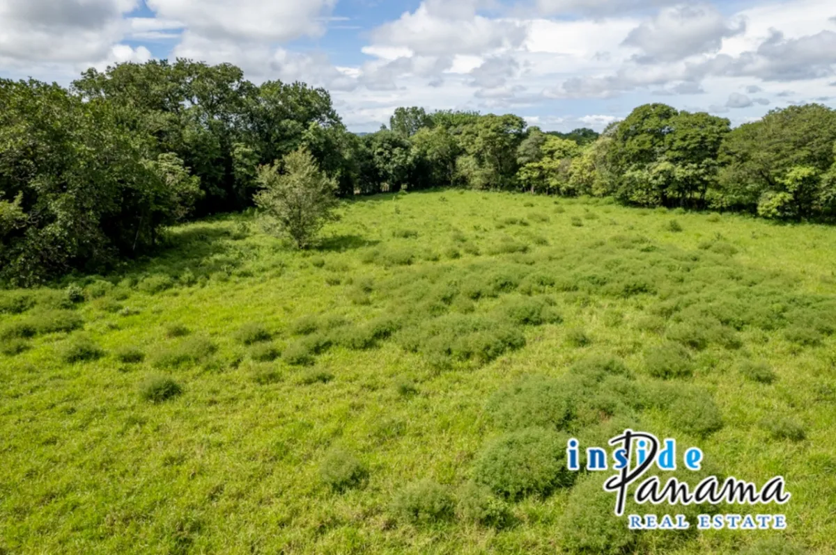 Prime 7 Acre Flat Land For Sale El Higo Dolega Chiriqui Panama