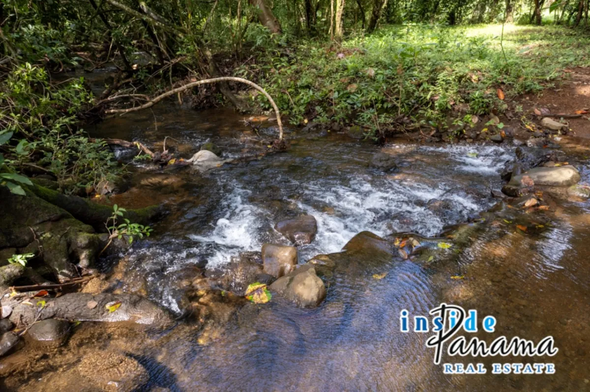 Prime 7 Acre Flat Land For Sale El Higo Dolega Chiriqui Panama