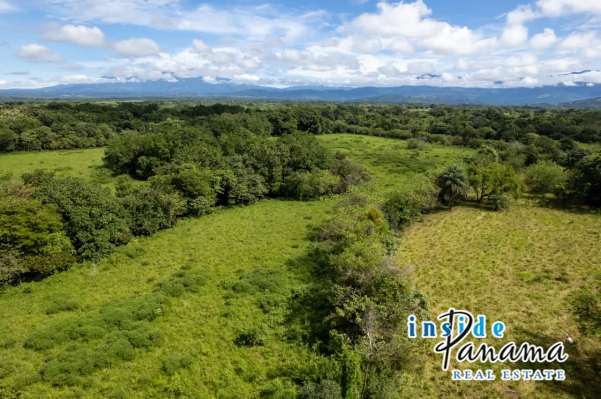 Prime 7 Acre Flat Land For Sale El Higo Dolega Chiriqui Panama