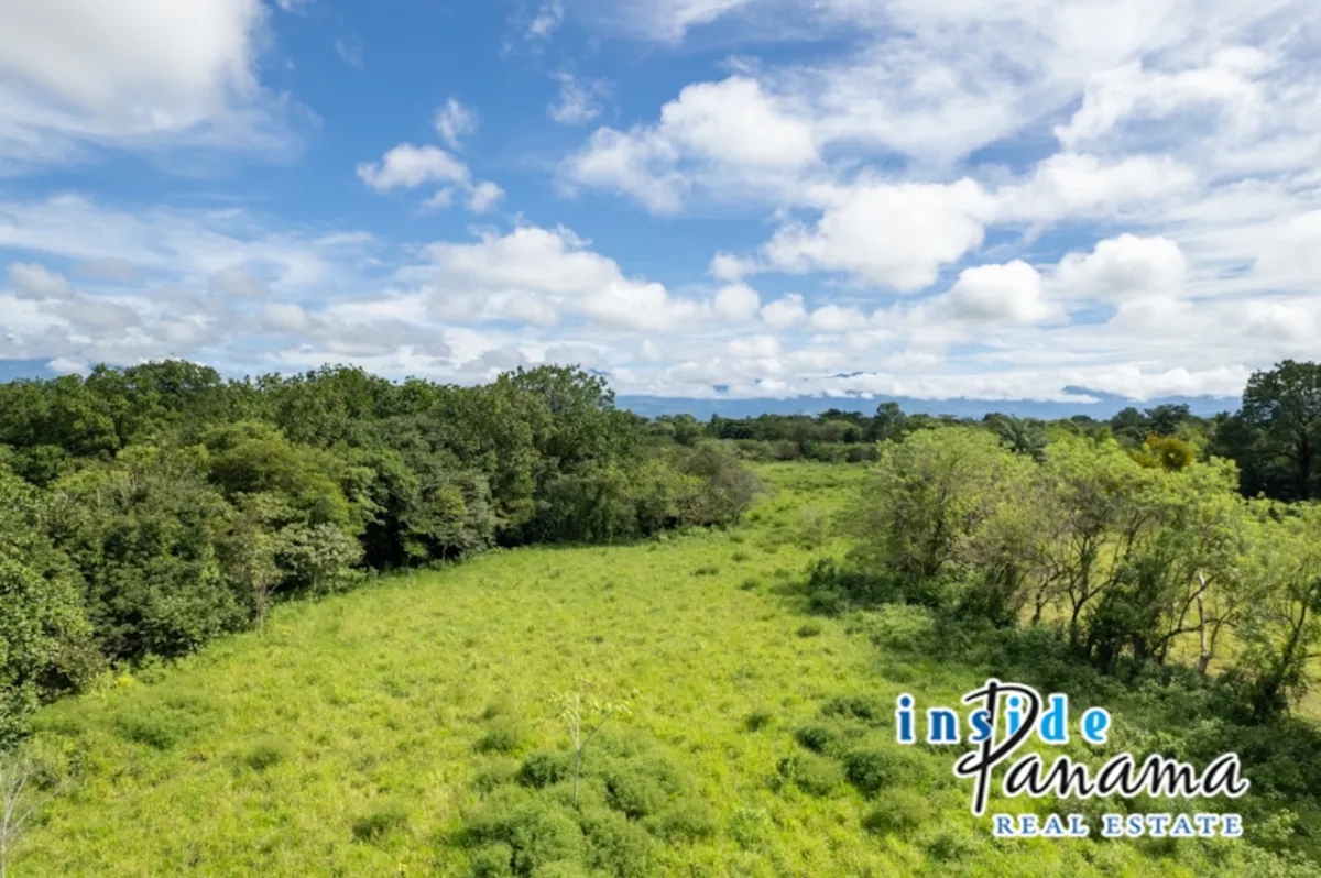 Prime 7 Acre Flat Land For Sale El Higo Dolega Chiriqui Panama