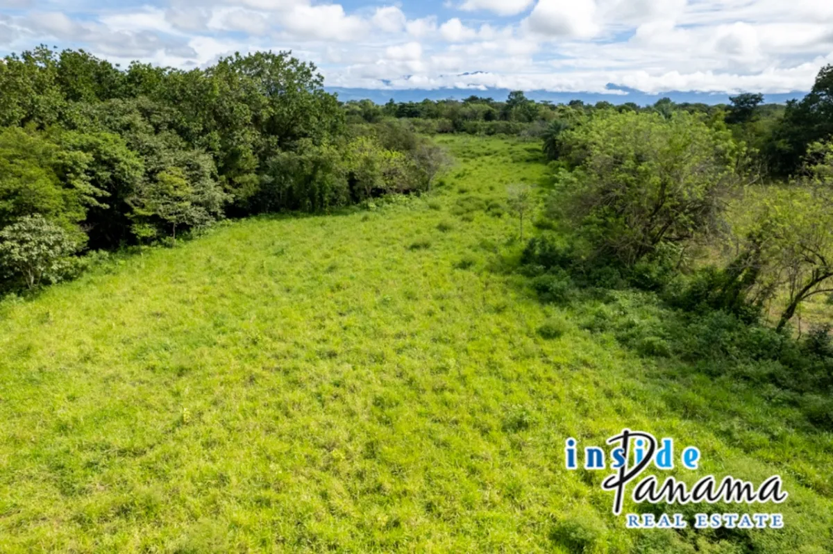 Prime 7 Acre Flat Land For Sale El Higo Dolega Chiriqui Panama
