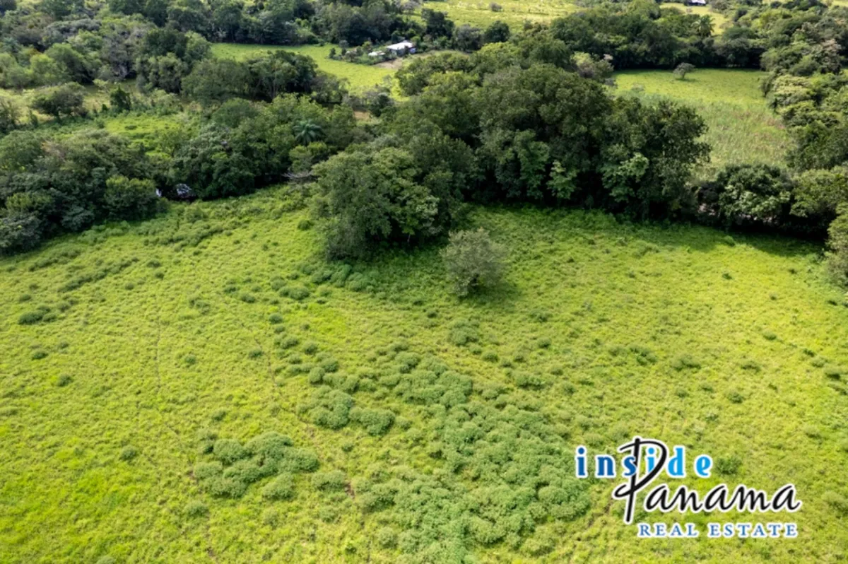 Prime 7 Acre Flat Land For Sale El Higo Dolega Chiriqui Panama