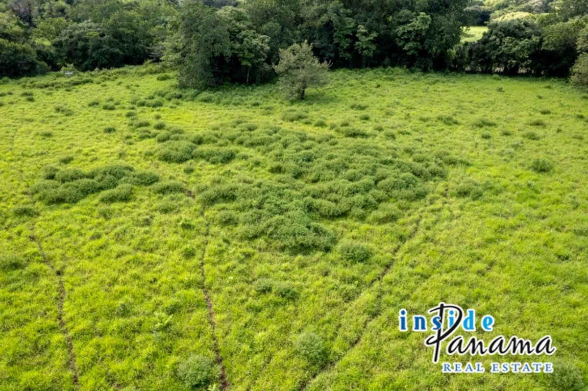 Prime 7 Acre Flat Land For Sale El Higo Dolega Chiriqui Panama