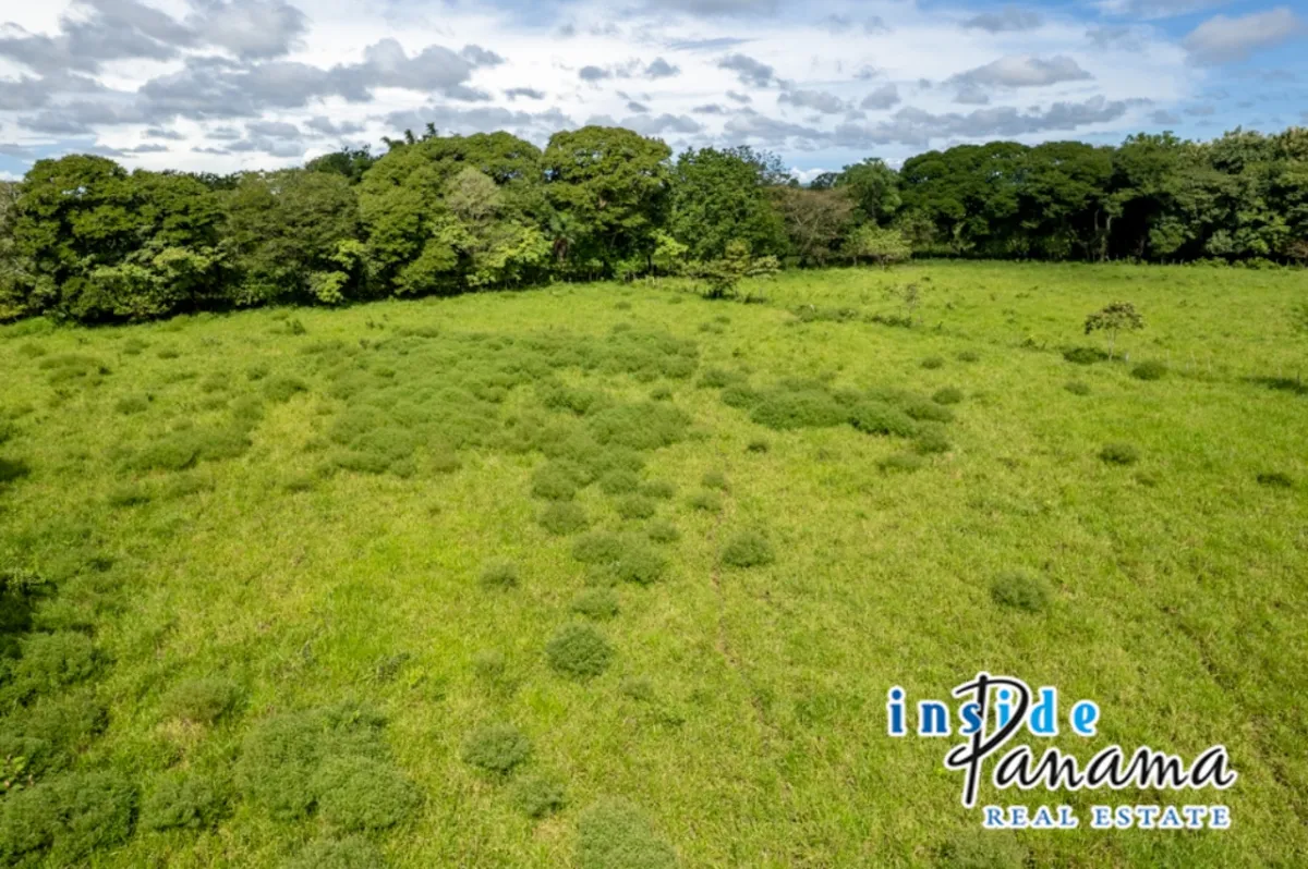 Prime 7 Acre Flat Land For Sale El Higo Dolega Chiriqui Panama