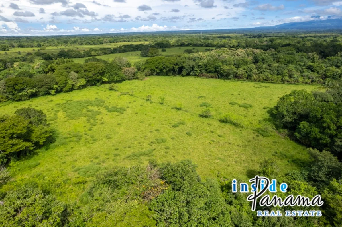 Prime 7 Acre Flat Land For Sale El Higo Dolega Chiriqui Panama