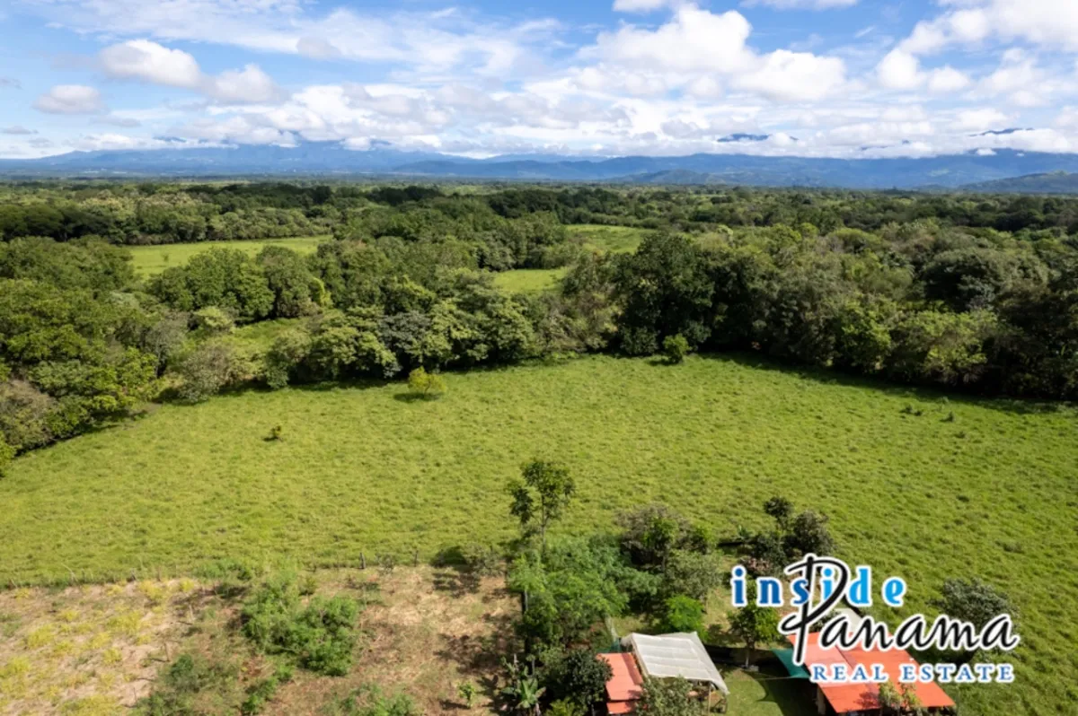 Prime 7 Acre Flat Land For Sale El Higo Dolega Chiriqui Panama