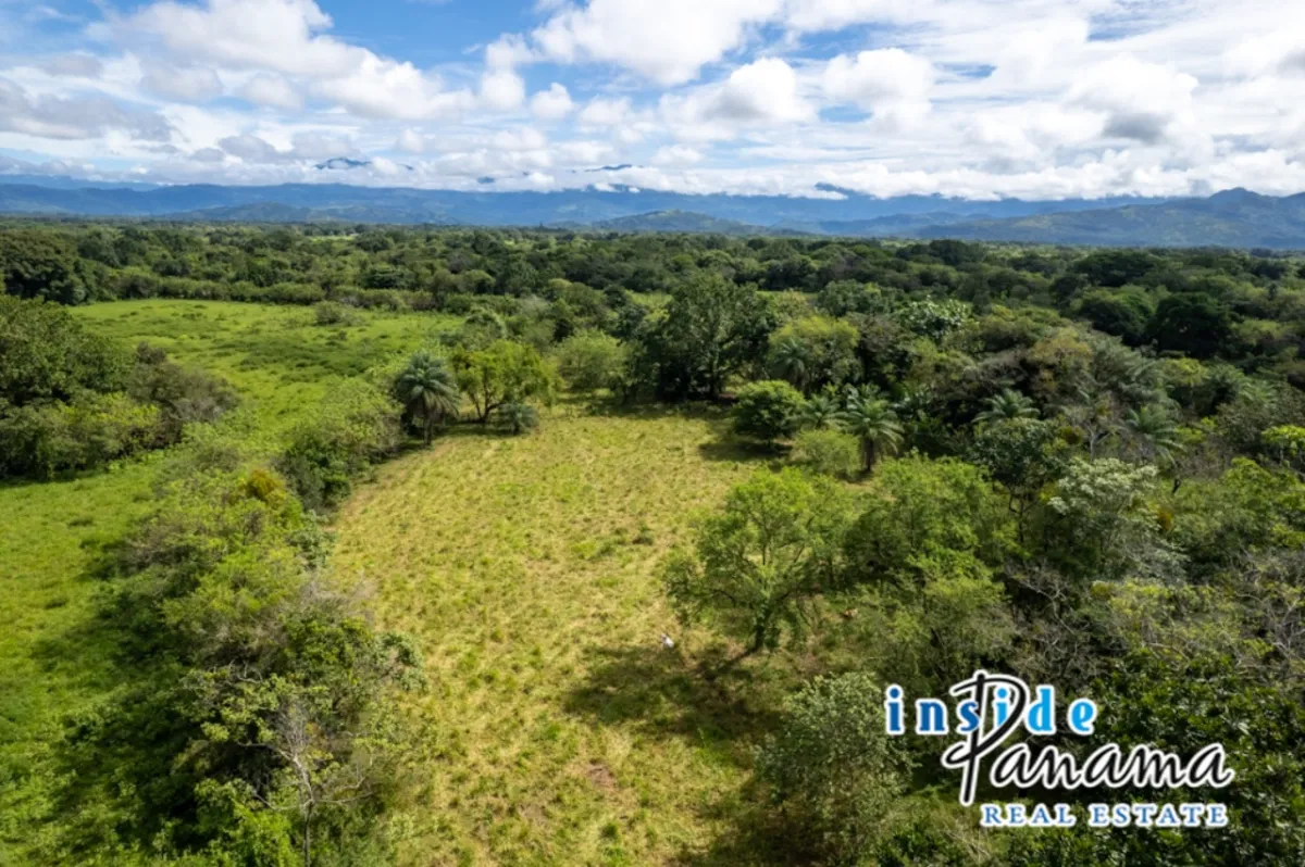 Prime 7 Acre Flat Land For Sale El Higo Dolega Chiriqui Panama