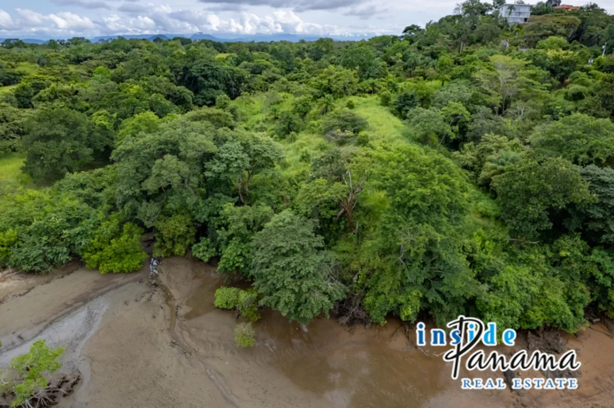8 Acre Beachfront Property for Luxury Development in Boca Chica Panama