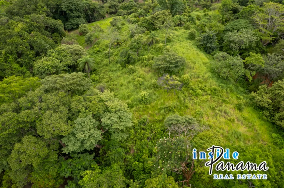 8 Acre Beachfront Property for Luxury Development in Boca Chica Panama