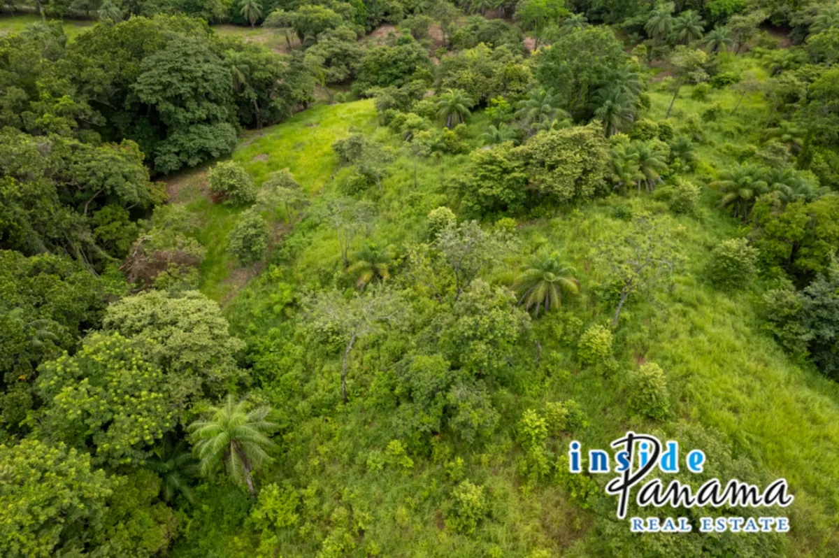 8 Acre Beachfront Property for Luxury Development in Boca Chica Panama