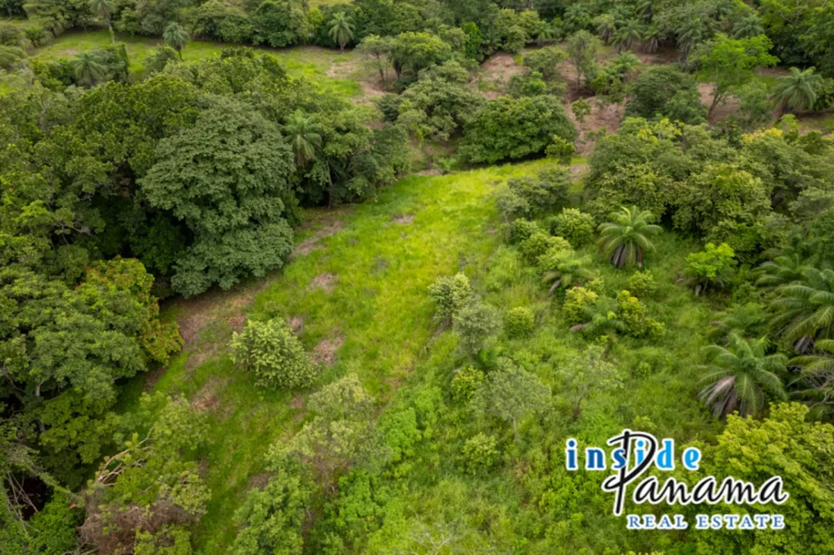 8 Acre Beachfront Property for Luxury Development in Boca Chica Panama