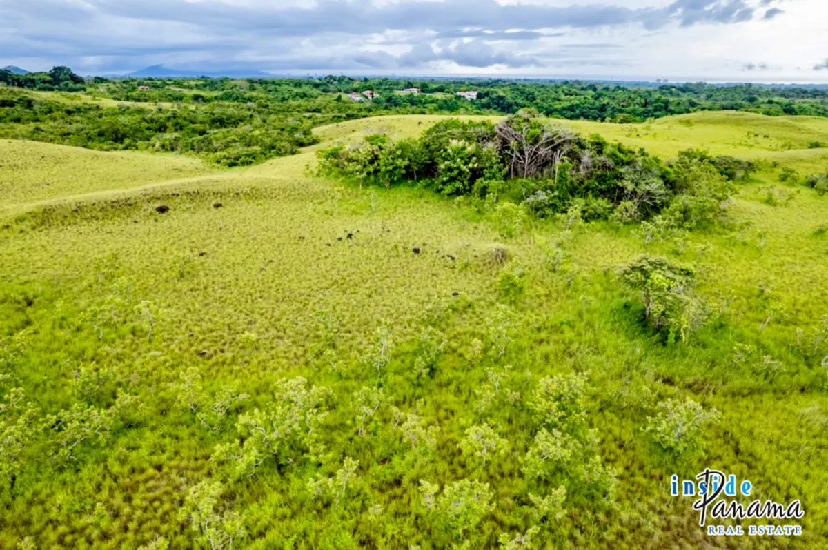 Ocean View Riverfront Land in San Carlos Panama