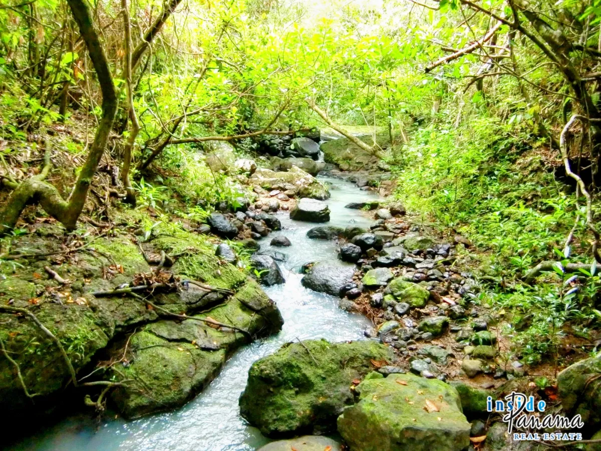 Ocean View Riverfront Land in San Carlos Panama